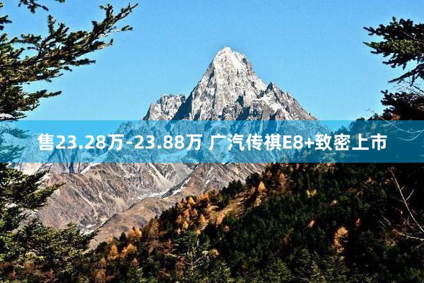 售23.28万-23.88万 广汽传祺E8+致密上市